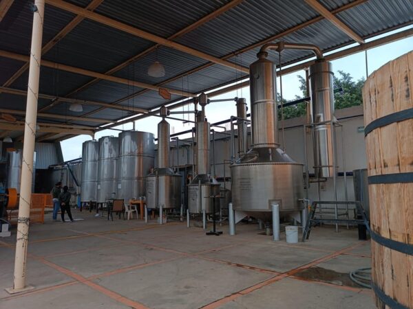 Tour del Tequila con Degustaciones - Image 7