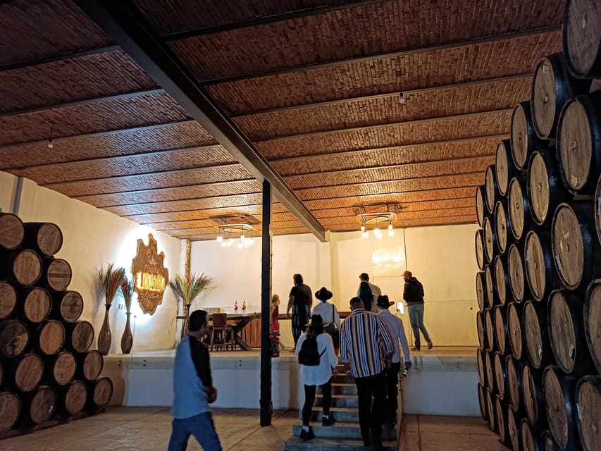 gallery-02