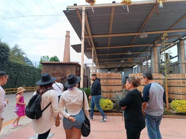 Tour del Tequila con Degustaciones - Image 5