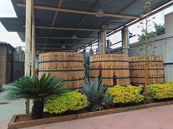 Tour del Tequila con Degustaciones - Image 4