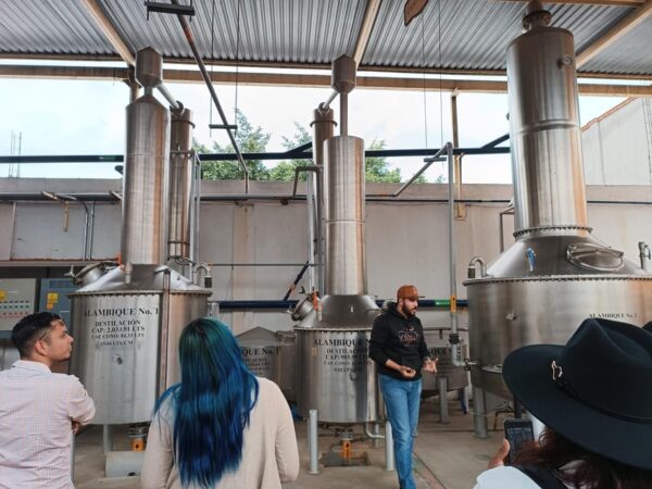 Tour del Tequila con Degustaciones - Image 9
