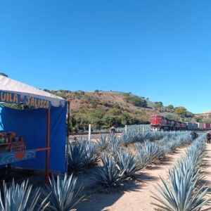 Fábrica de cinco estrellas: Conoce el tequila Orendain