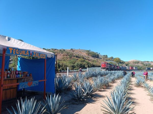Fábrica de cinco estrellas: Conoce el tequila Orendain