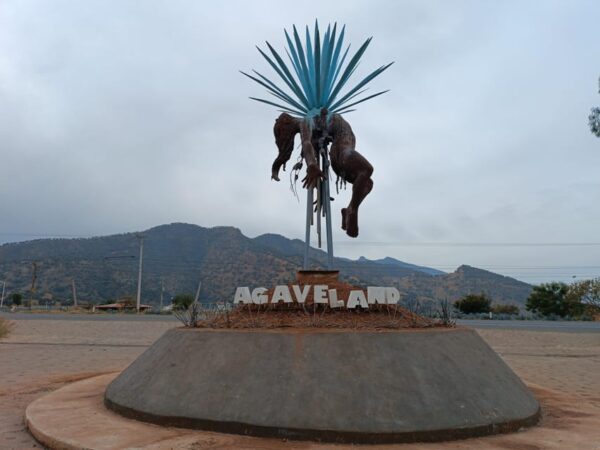 Tour del Tequila con Degustaciones - Image 8
