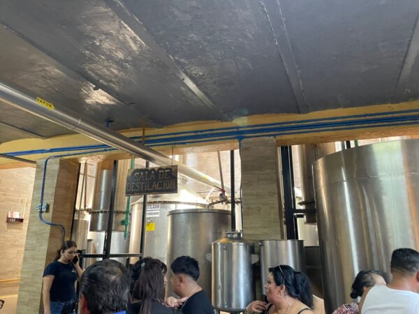 Mucha fiesta: Diviértete en la fábrica "La Aguirreña" - Image 22