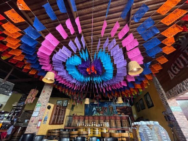 Mucha fiesta: Diviértete en la fábrica "La Aguirreña" - Image 23